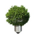 Lamp made Ã¢â¬â¹Ã¢â¬â¹of green tree. Ecology conception Royalty Free Stock Photo